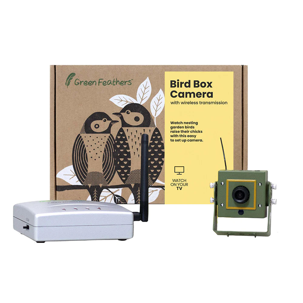 Wiwacam Bird Box Green Wifi Bird Box Camera Kit Rtmp Live Audio