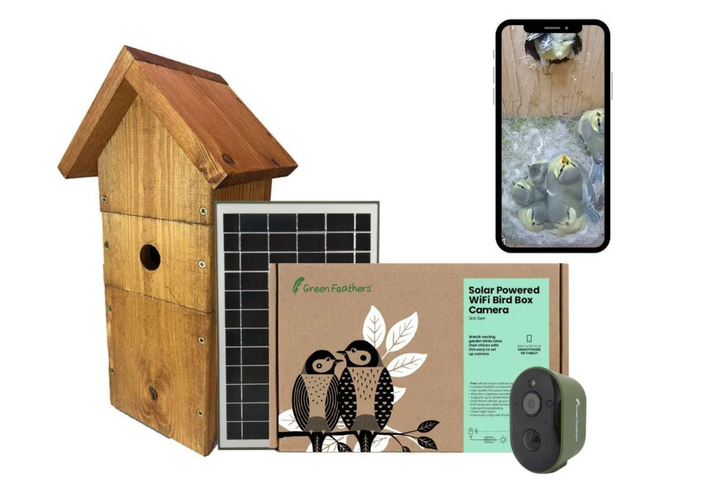Solar Powered WiFi Bird Box HD Camera Starter Pack – Stealth