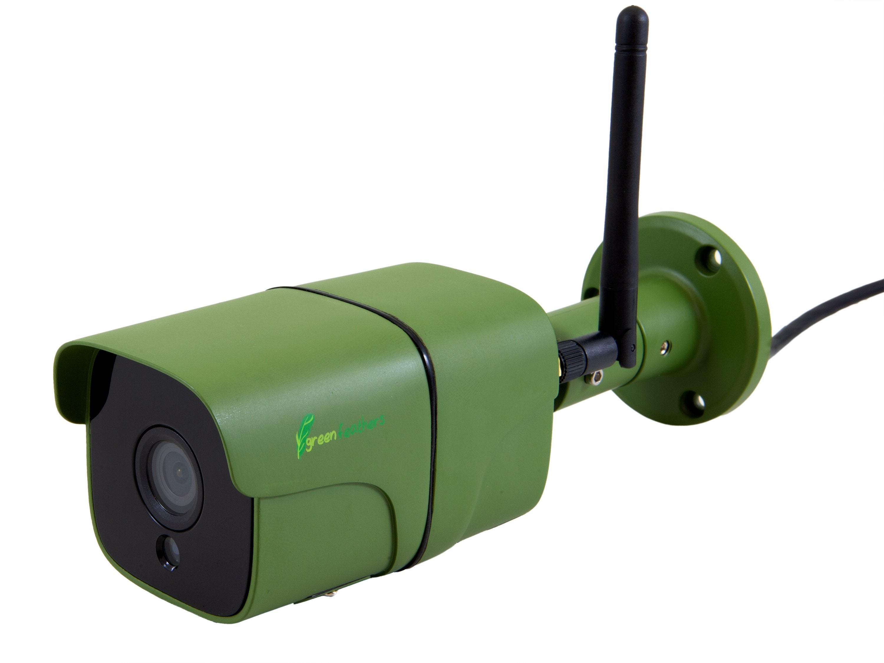 Garden Wildlife WiFi Camera Gift Green Feathers Camera