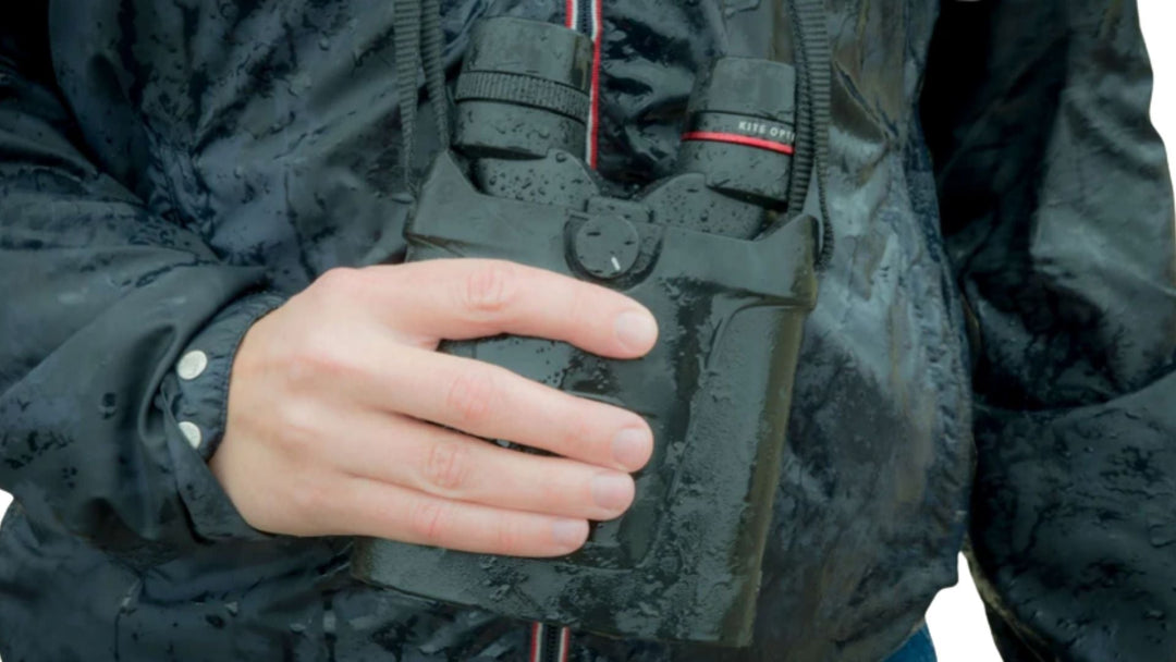 Best Image Stabilized Binoculars: Styles, Magnifications and Use Cases