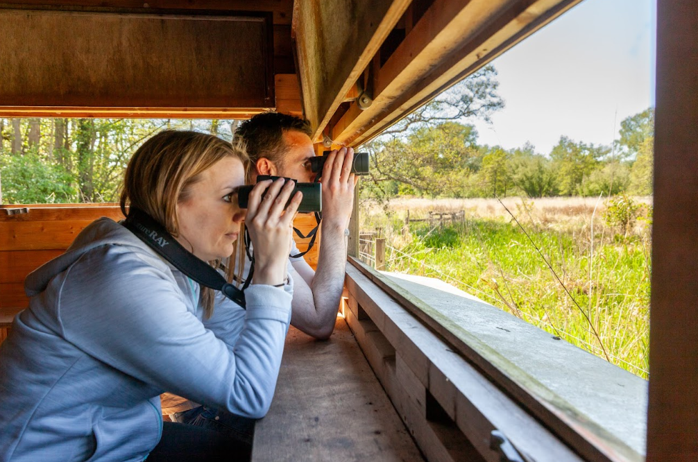 Birding Etiquette 101: How to Bird Responsibly and Politely