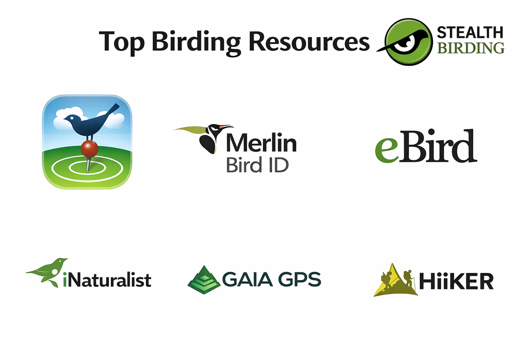 Best Birding Resources: Apps, Tools & Maps Every Birder Should Know