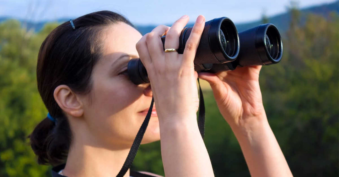 The Best Binoculars For Birdwatching in 2025