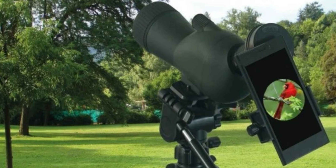 The Complete Guide to Digiscoping for Birdwatching