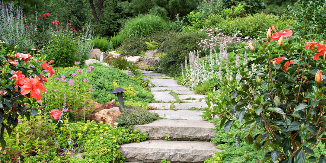 How to Create an Effective Wildlife Garden in the UK