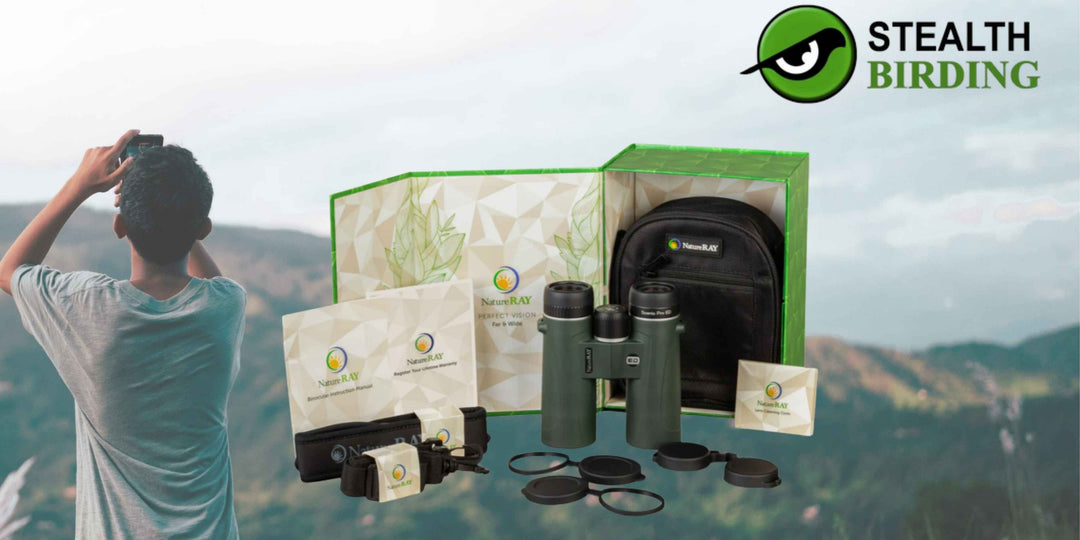 Thoughtful Gifts for Birders: Ideas for Every Bird Lover