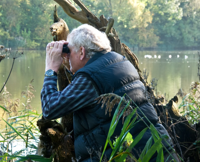 Best Binoculars for the Money