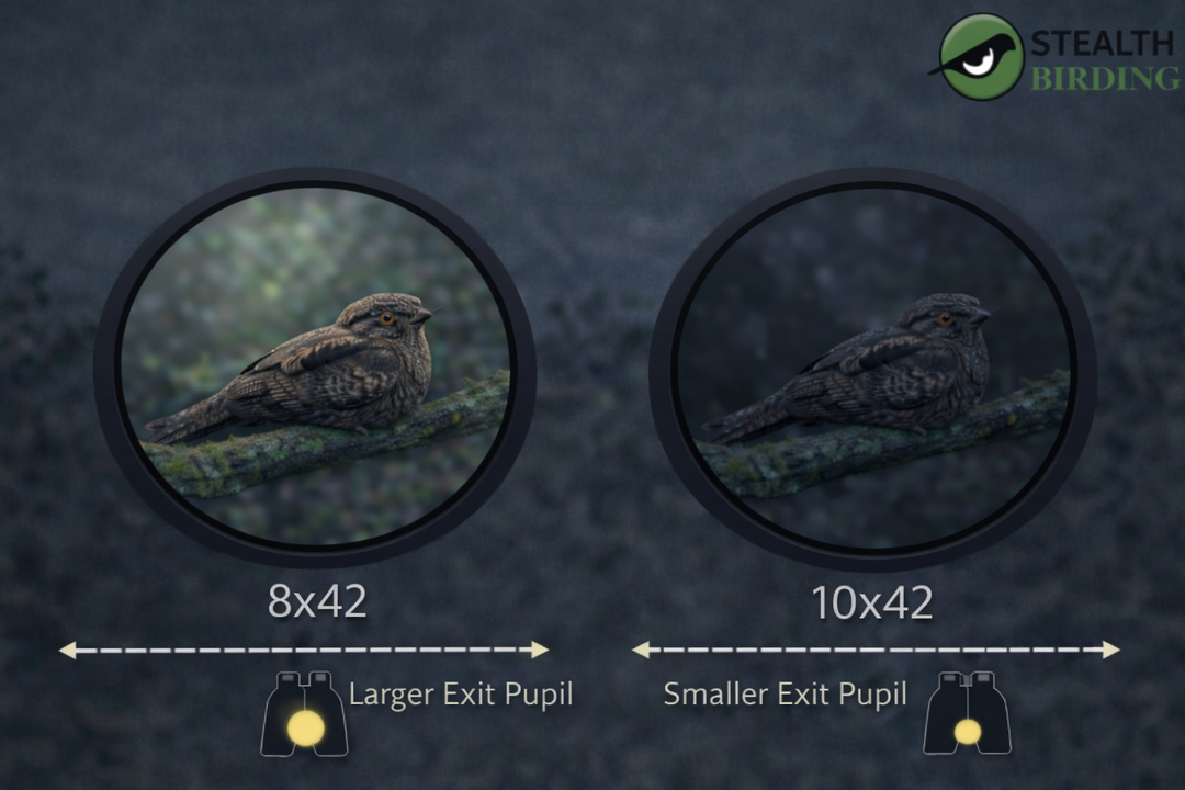 Objective Lens Size Explained: Brightness, Size, and Real-World Trade-offs