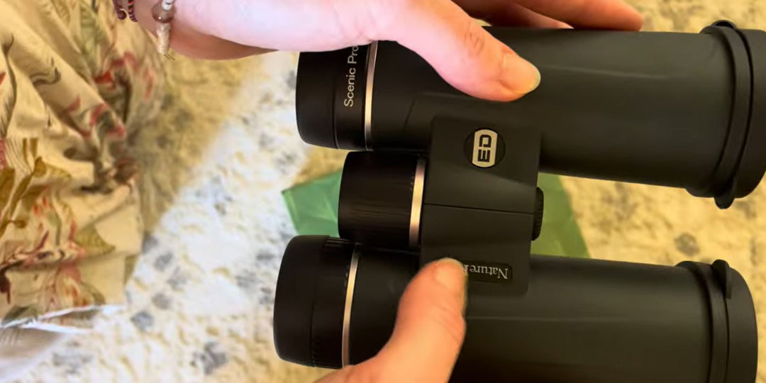 From Entry Level to Pro Optics: A Nature and Wildlife Traveller’s Experience with the NatureRAY Scenic Pro ED 8x42 Binoculars