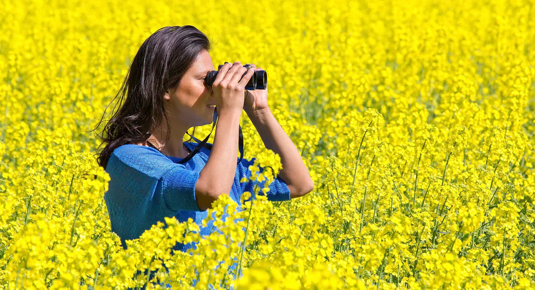 Best Compact Binoculars 2025: Lightweight Options for Birders on the Go