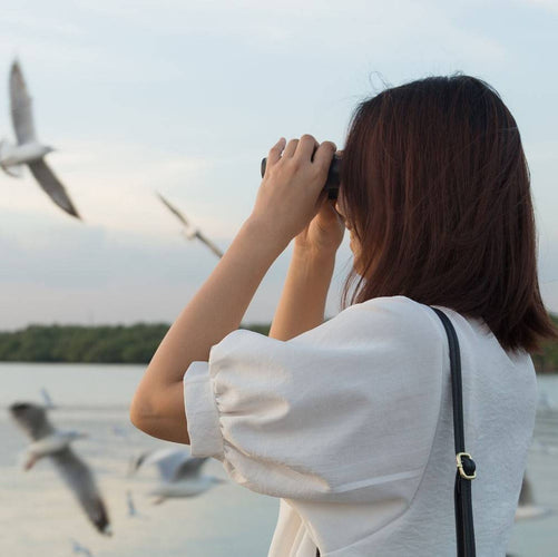 Bird Watching Binoculars Buying Guide