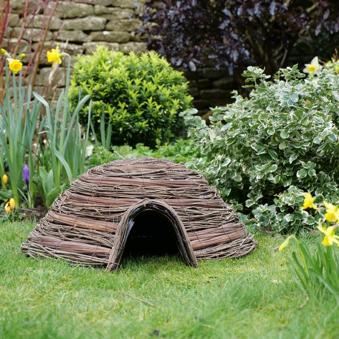 Hedgehog Dome Home