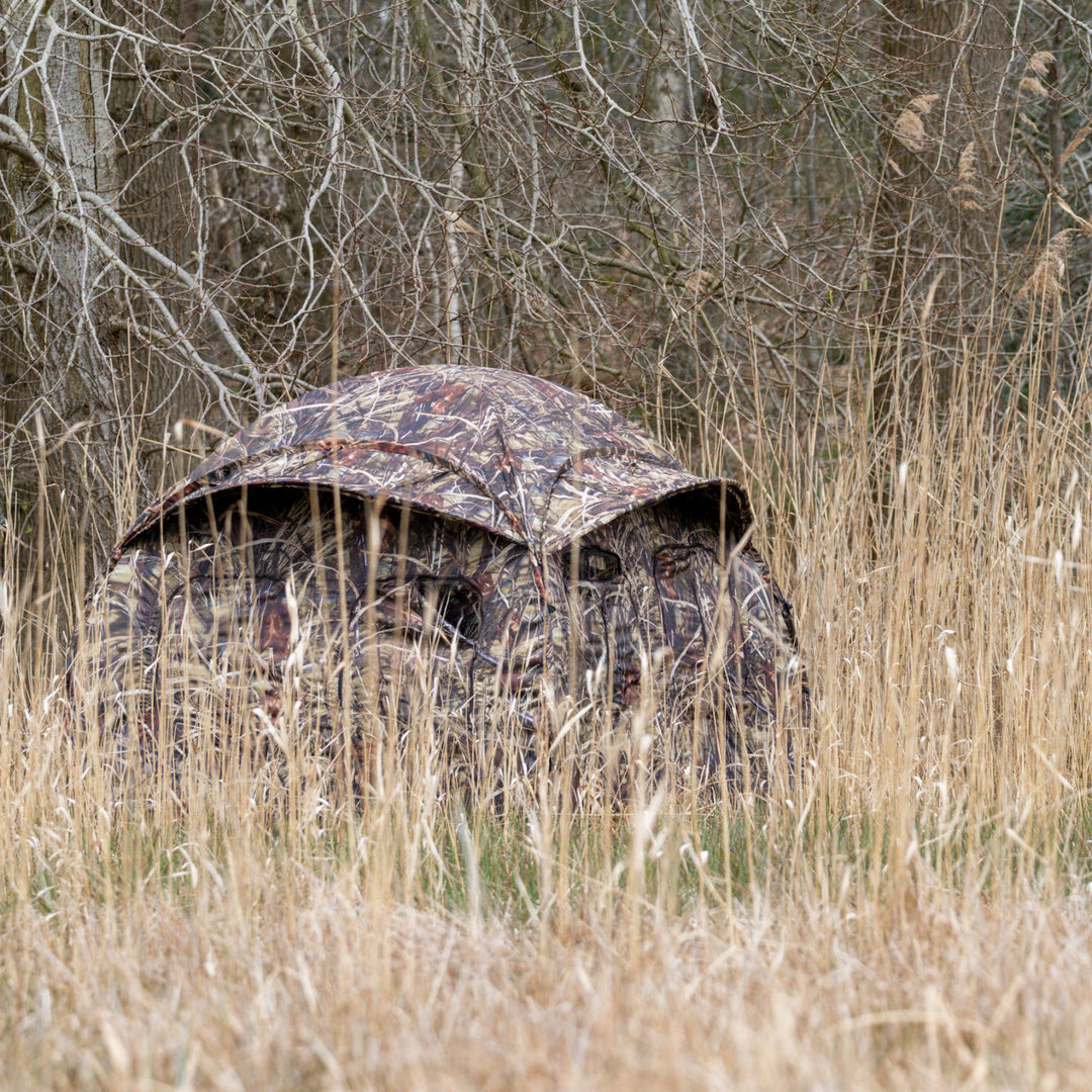 Buteo Photo Gear Hide Aquila Mark III Reed