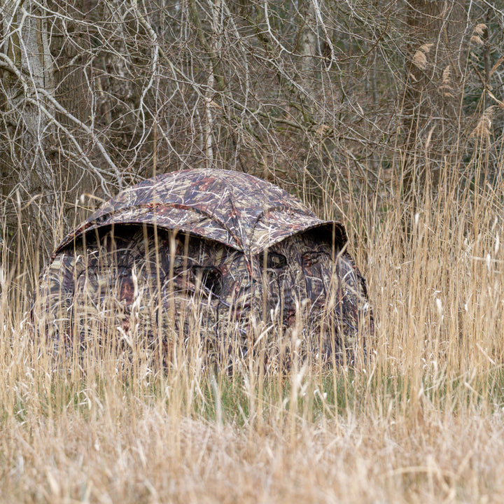 Buteo Photo Gear Hide Aquila Mark III Reed