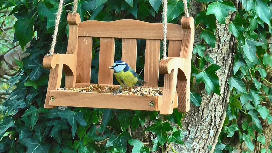 Swing Seat Bird Feeder
