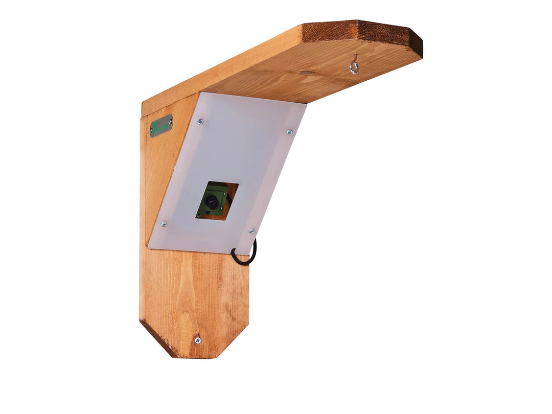 Bird Box and Bird Feeder Garden Camera Kit