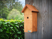 Solar Bird Box and Bird Feeder 2 Camera Garden Kit