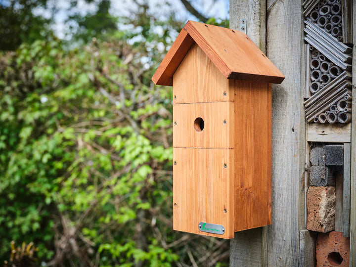 Wired Network Bird Box HD Camera Starter Pack