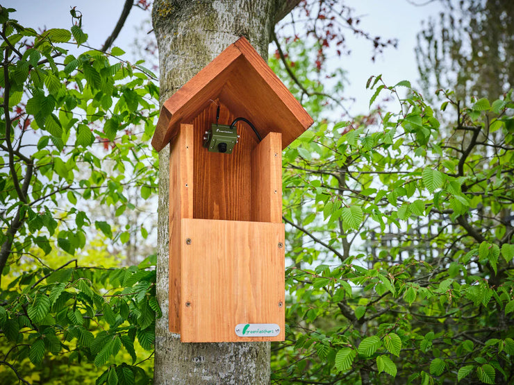 Wifi Bird Box HD Camera Starter Pack