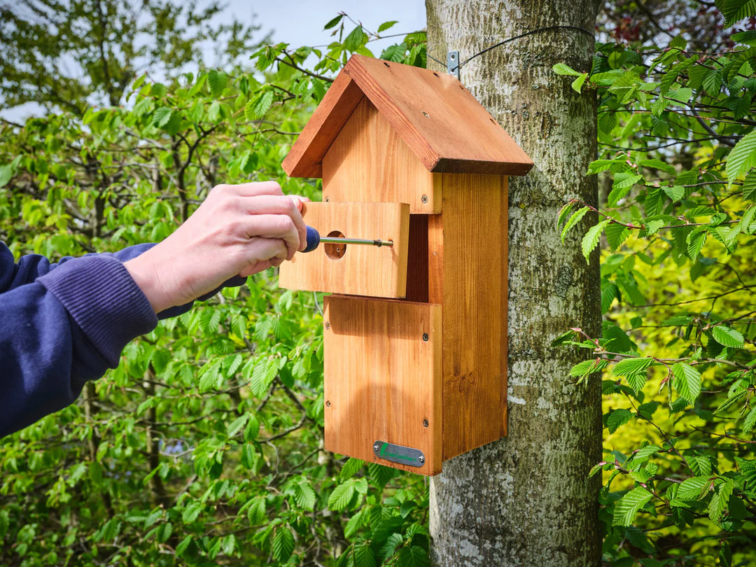 Bird Box HD Camera Complete Pack