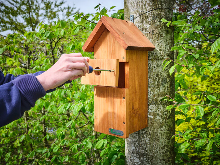 Wifi Bird Box HD Camera Starter Pack