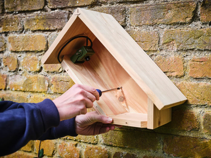 WiFi Side View Bird Box Camera Pack