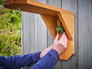 Bird Box and Bird Feeder Garden Camera Kit