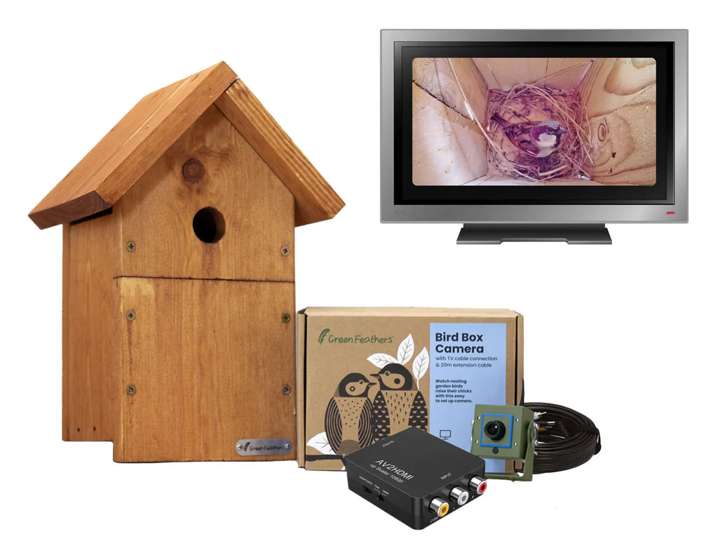Bird Box Camera HD Deluxe Bundle Network Cable +Gift Green