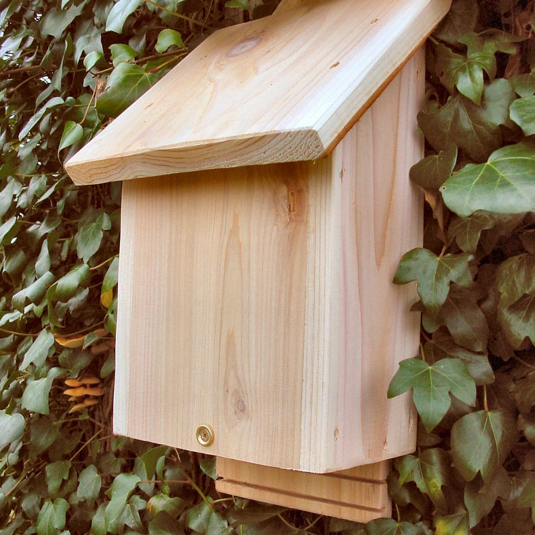 Chavenage Bat Box