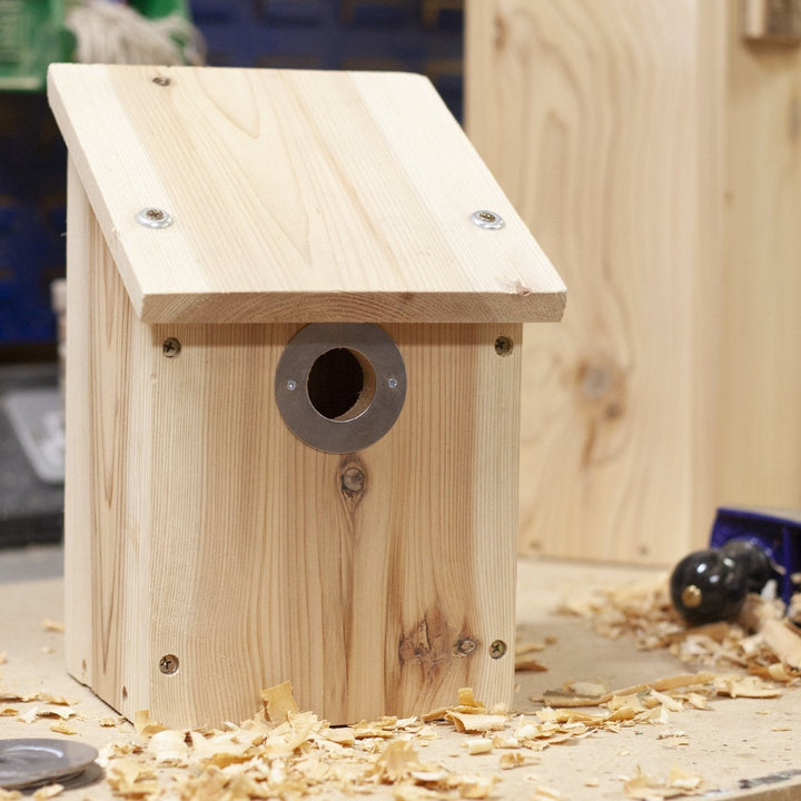Camera Ready Bird Nest Box