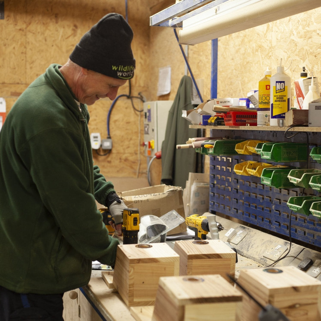 Camera Ready Bird Nest Box