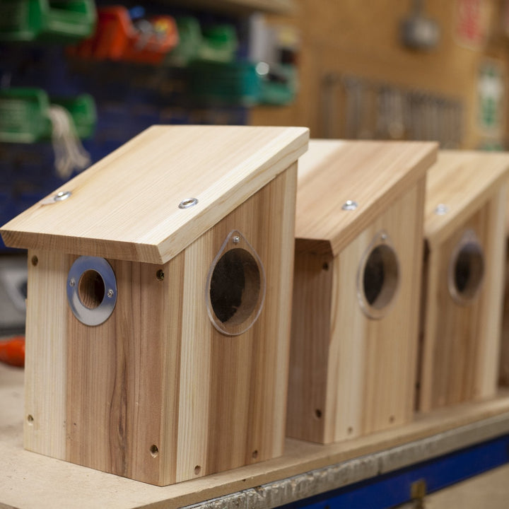 Camera Ready Bird Nest Box