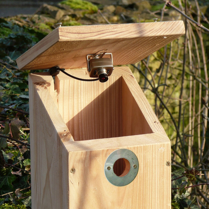 Camera Ready Bird Nest Box