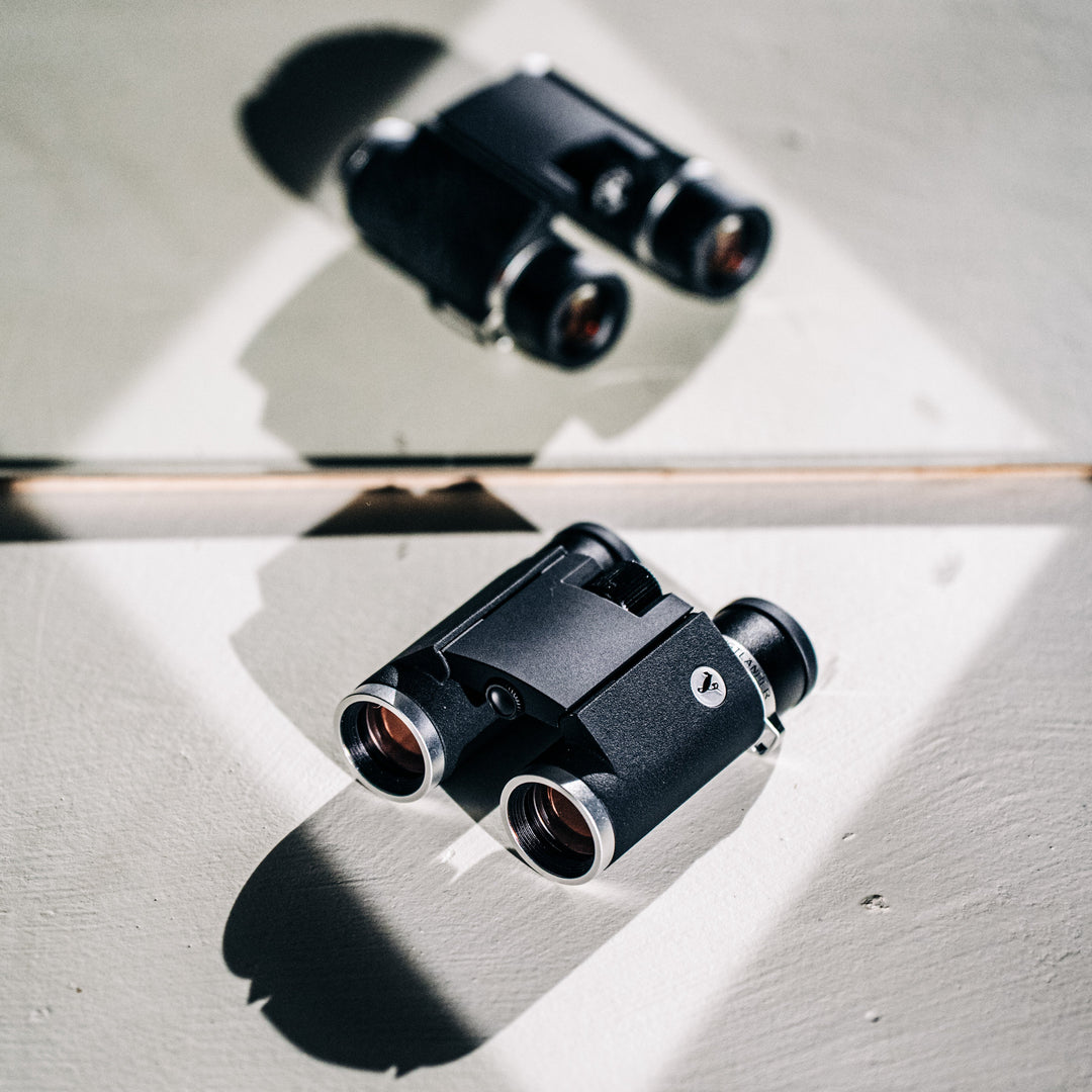 Voigtländer Vienna 10x25 APO Binoculars