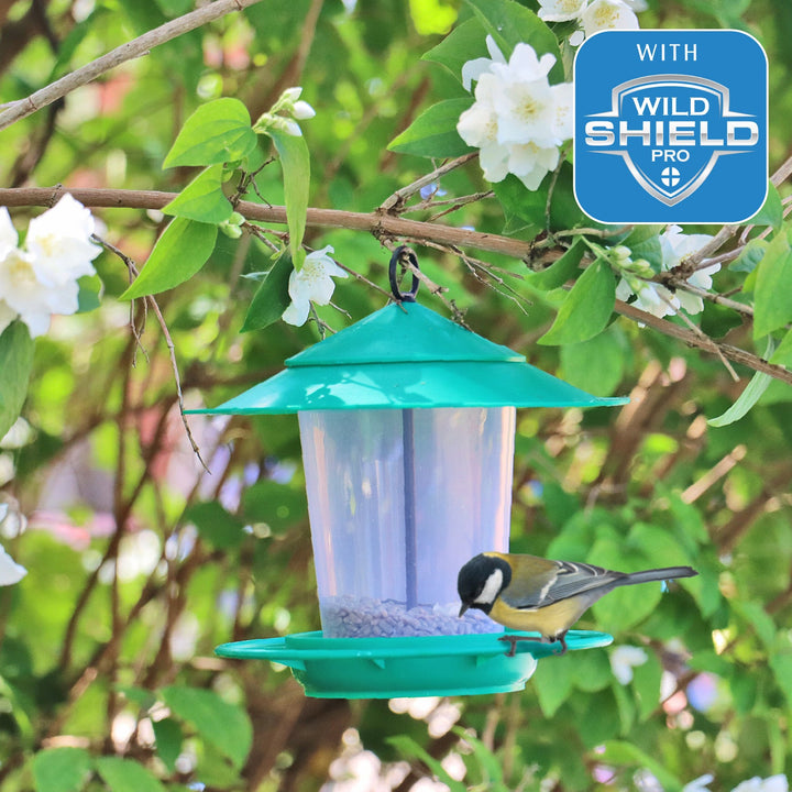 Eco-Blu Bird Feeder