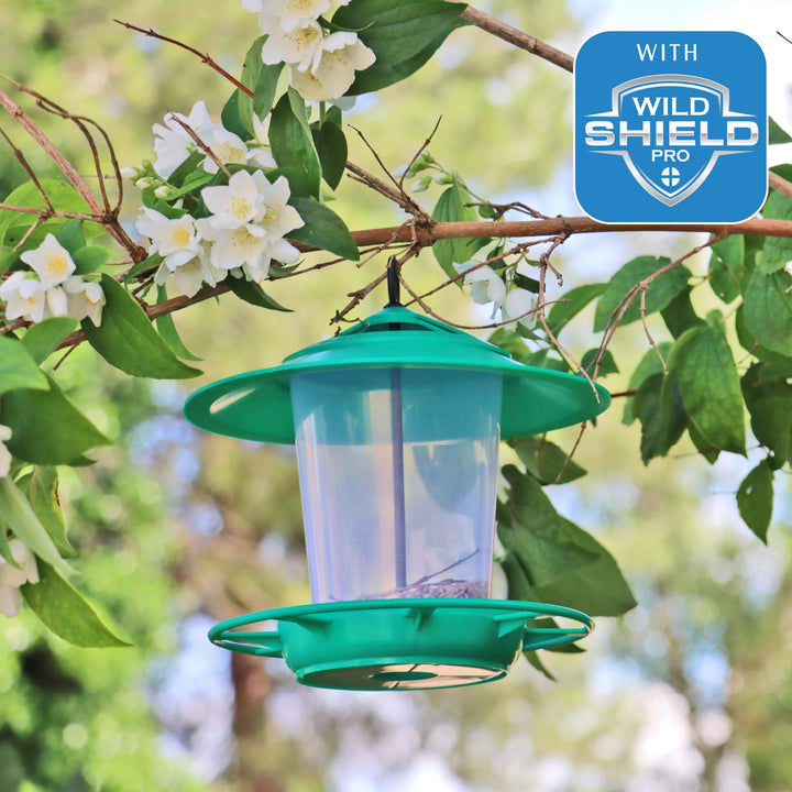 Eco-Blu Bird Feeder