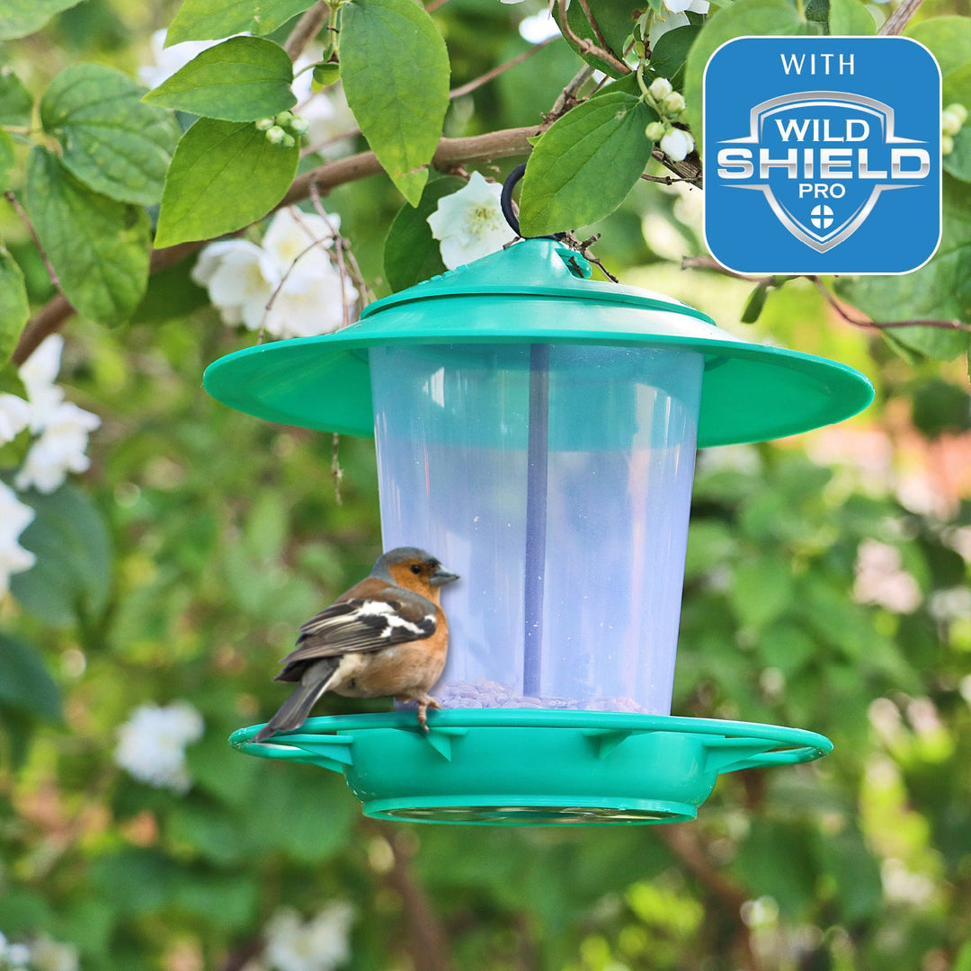 Eco-Blu Bird Feeder