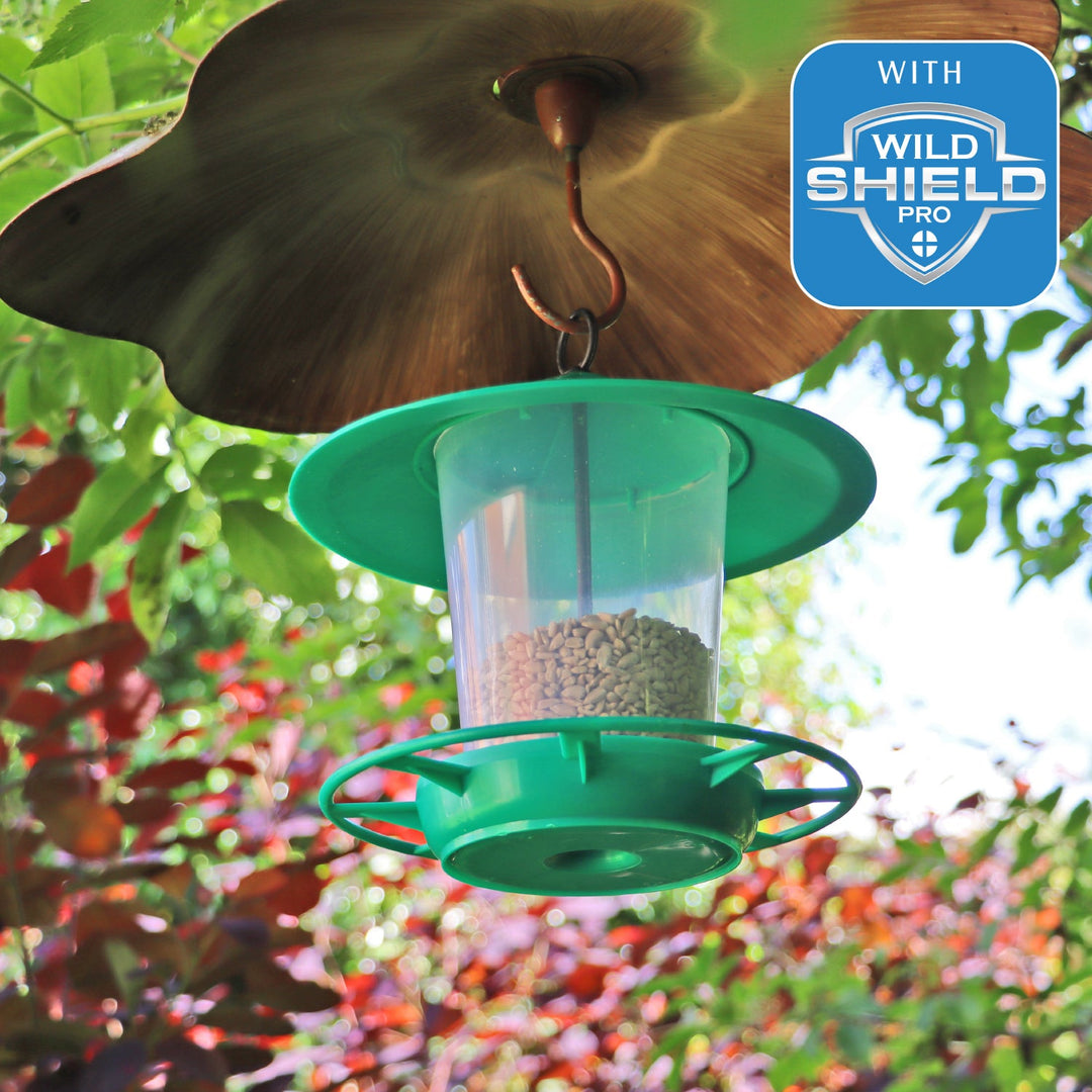 Eco-Blu Bird Feeder