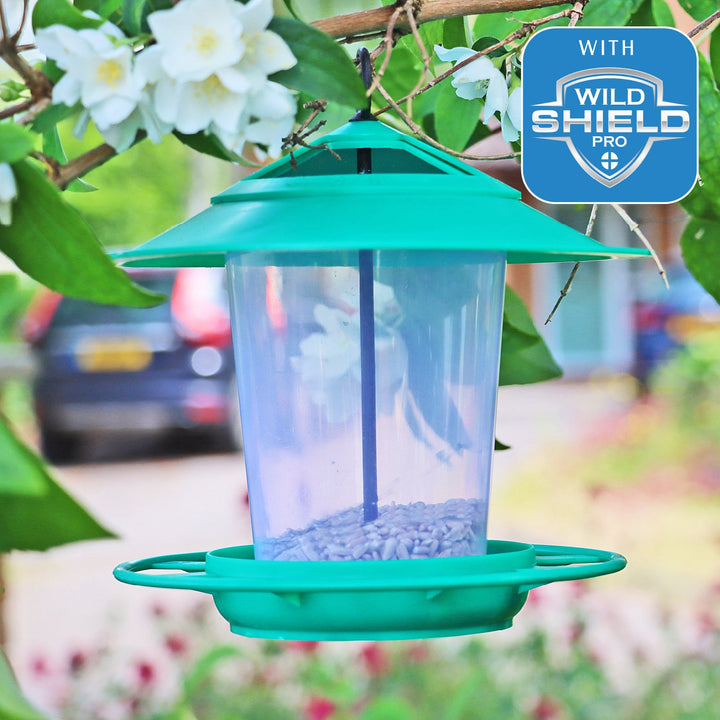 Eco-Blu Bird Feeder
