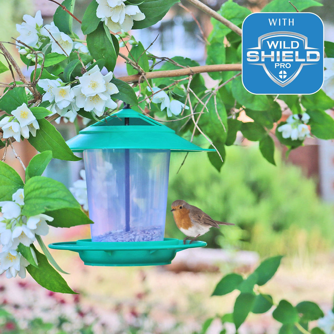 Eco-Blu Bird Feeder