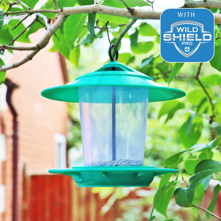 Eco-Blu Bird Feeder
