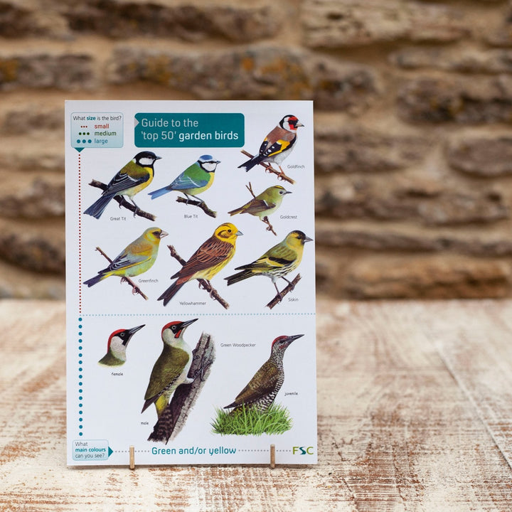 Field Guide - Garden Birds