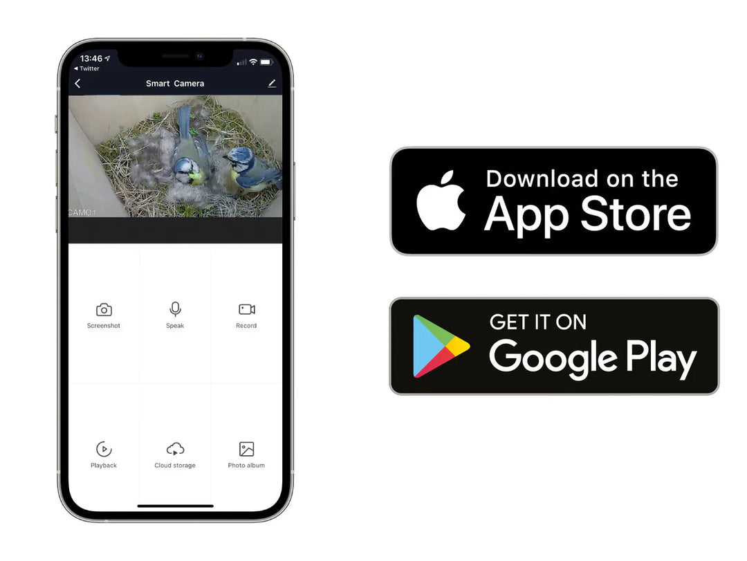 Bird Box HD Camera Complete Pack