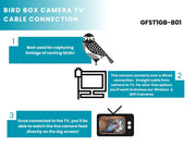 Cable Connection Bird Box & Wildlife Camera