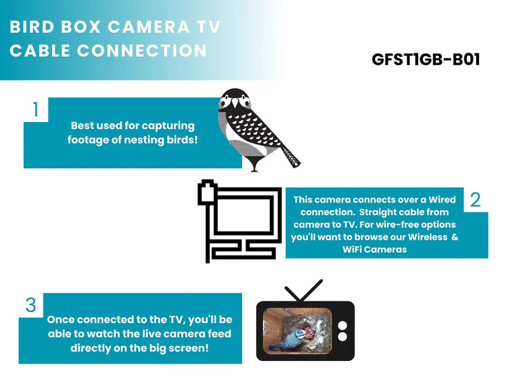 Cable Connection Bird Box & Wildlife Camera