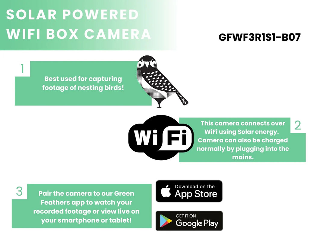 Solar Powered WiFi Bird Box HD Camera Complete Pack