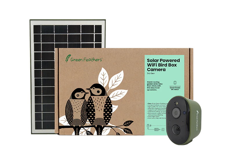 Solar Bird Box and Bird Feeder 2 Camera Garden Kit