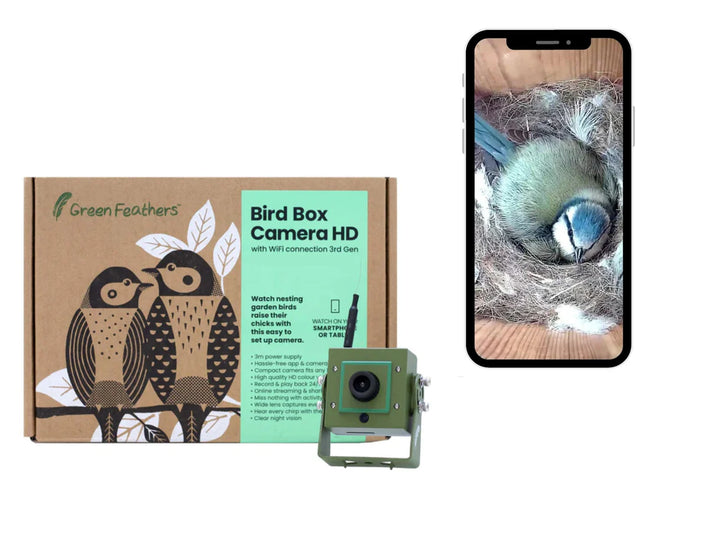 Bird Box and Bird Feeder Garden Camera Kit