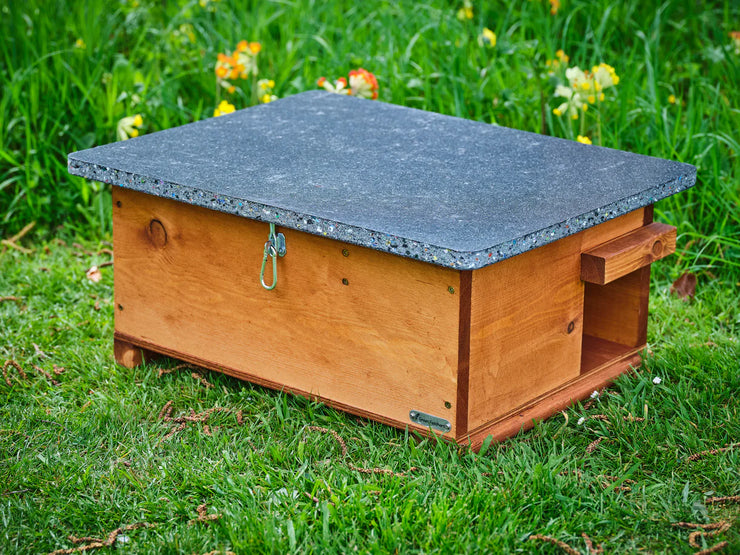 Bird Box and Hedgehog House Complete Garden Camera Kit