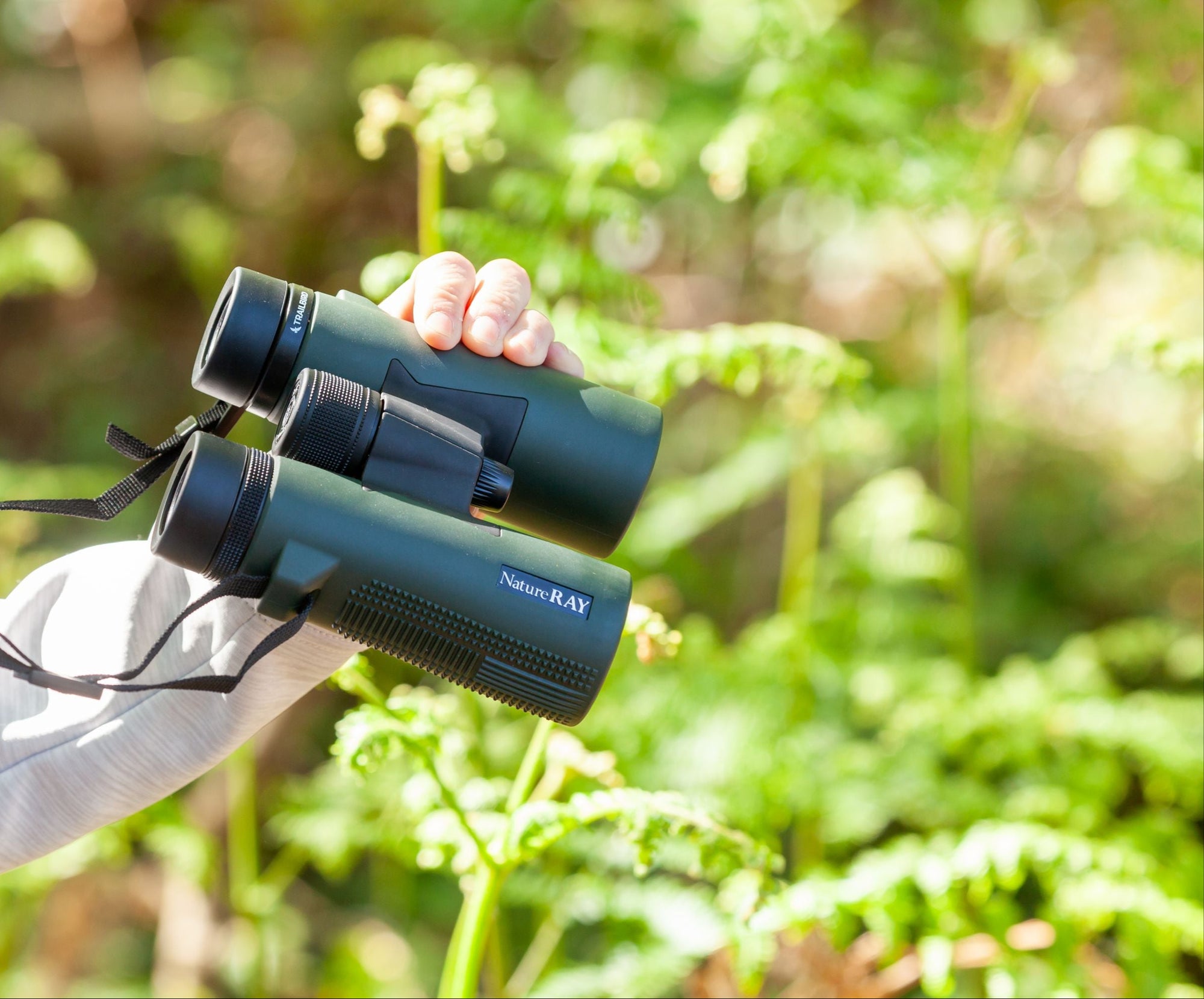 NatureRAY Trailbird 10x42 Black Binoculars for Bird Watching